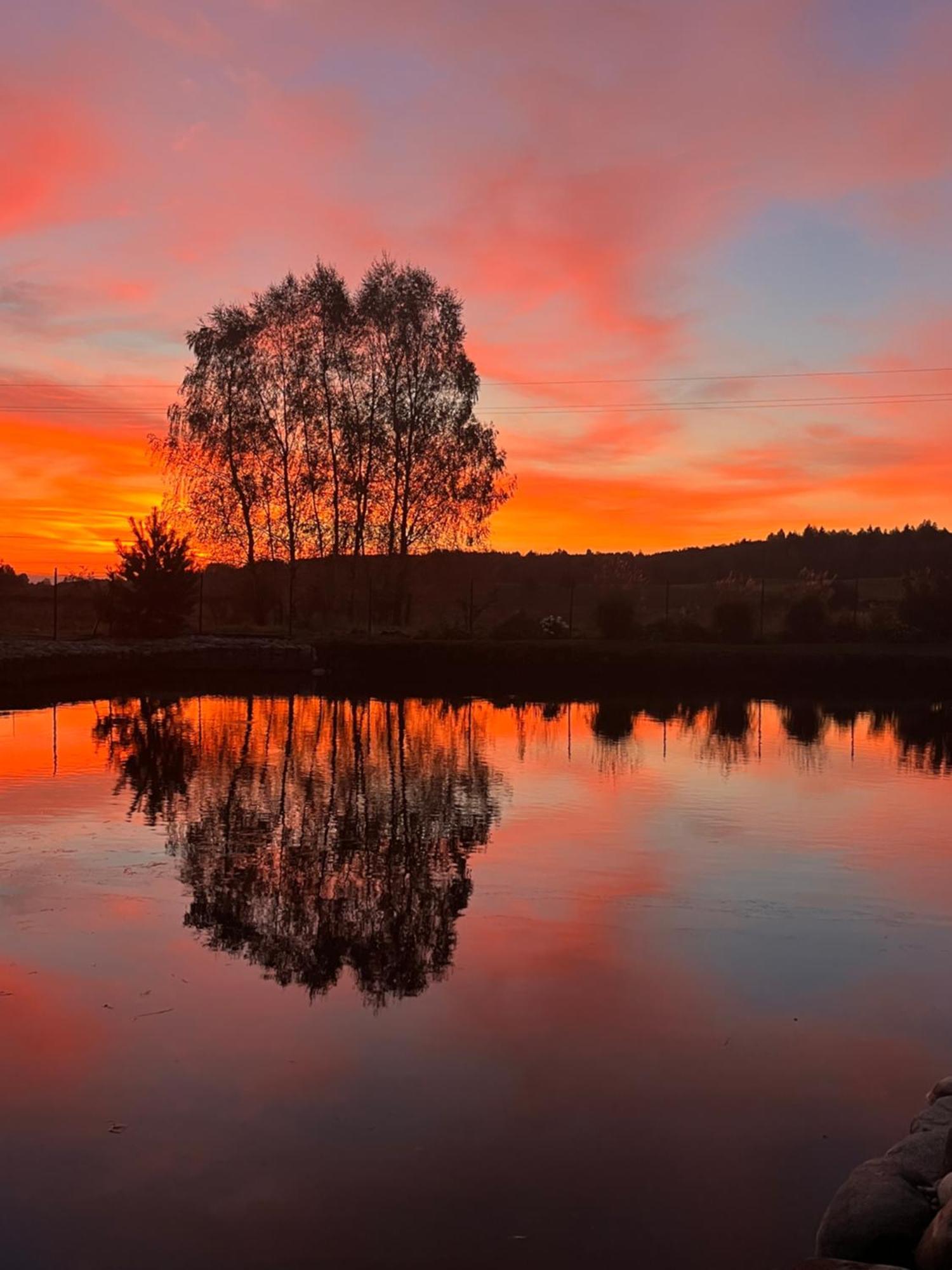 Vila Trakai Exteriör bild